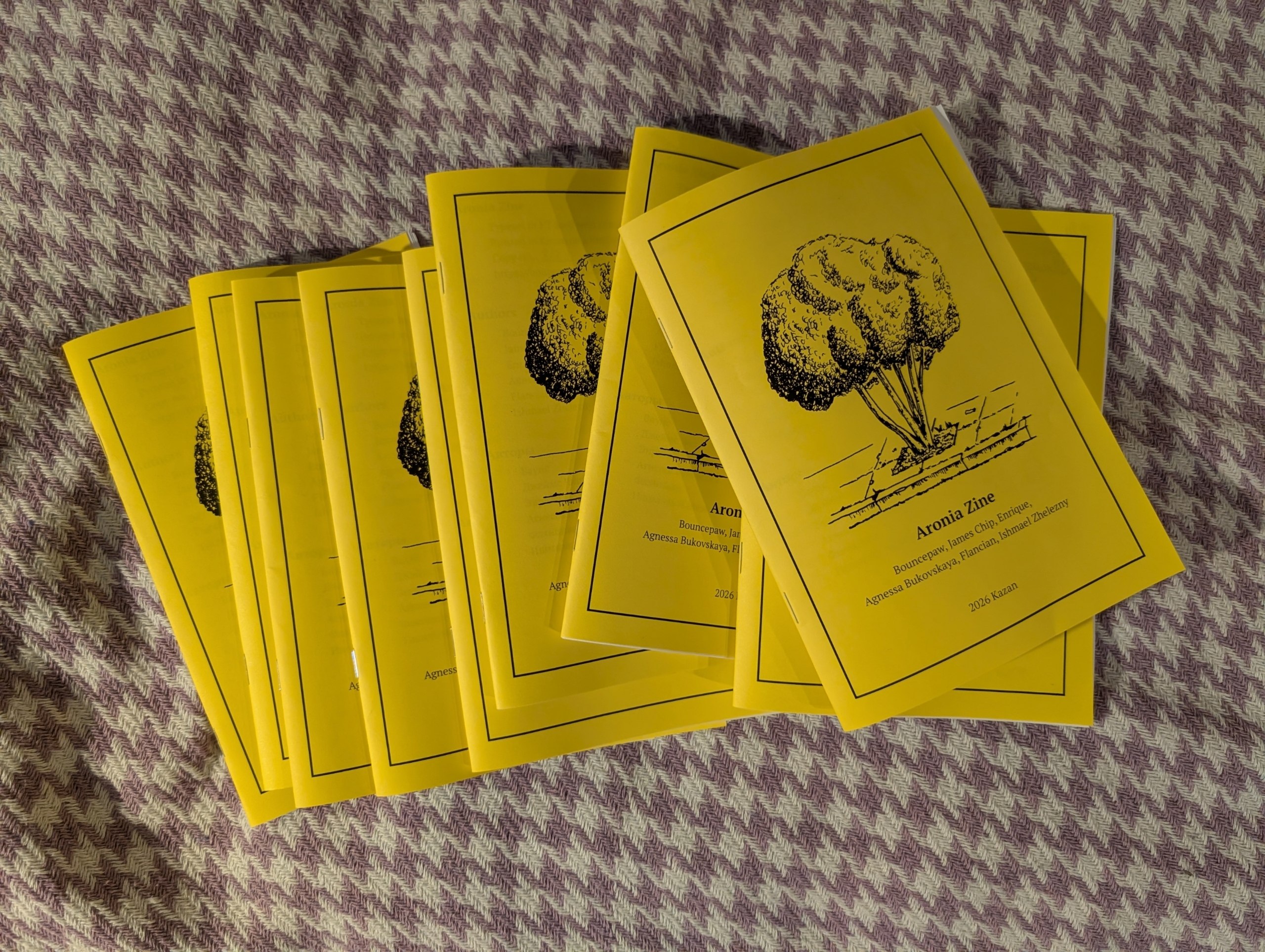 Several copies of Aronia Zine.